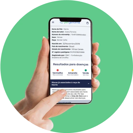 Celular acessando o relatório da Petgenoma