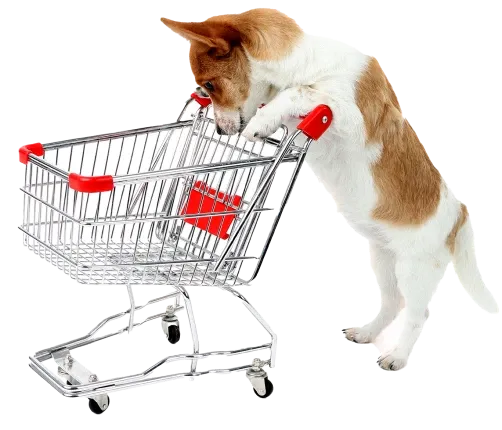 Carrinho de compras da Petgenoma