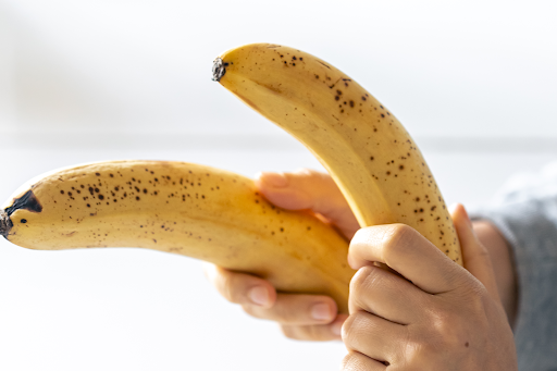 cachorro-pode-comer-banana-02