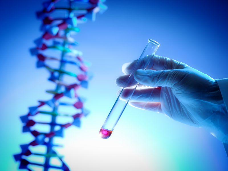 valor-teste-dna-cachorro