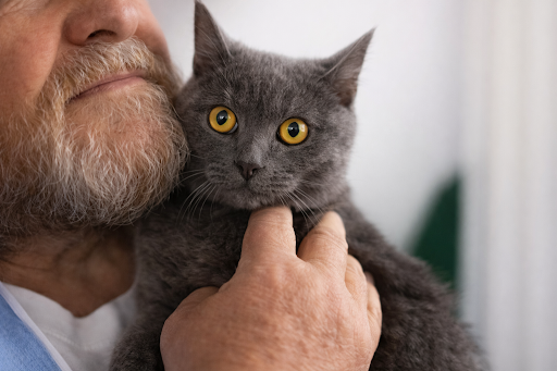 Garota sorrindo utilizando um tablet