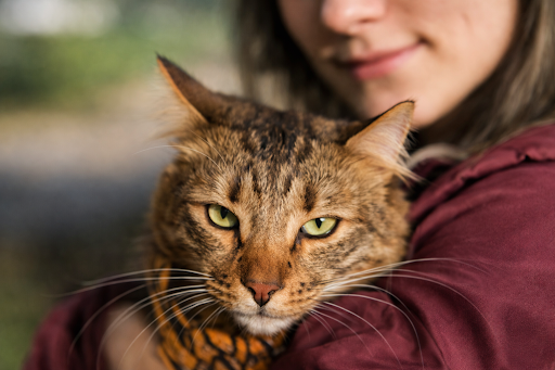 Garota sorrindo utilizando um tablet