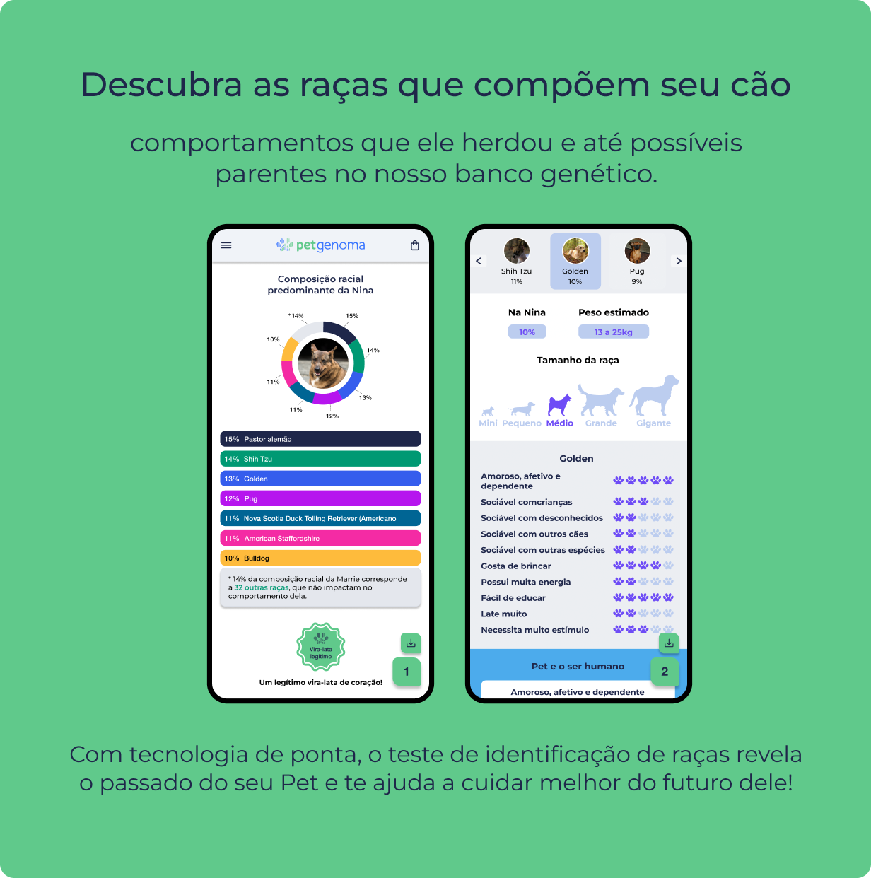 Produto Identificação de raças