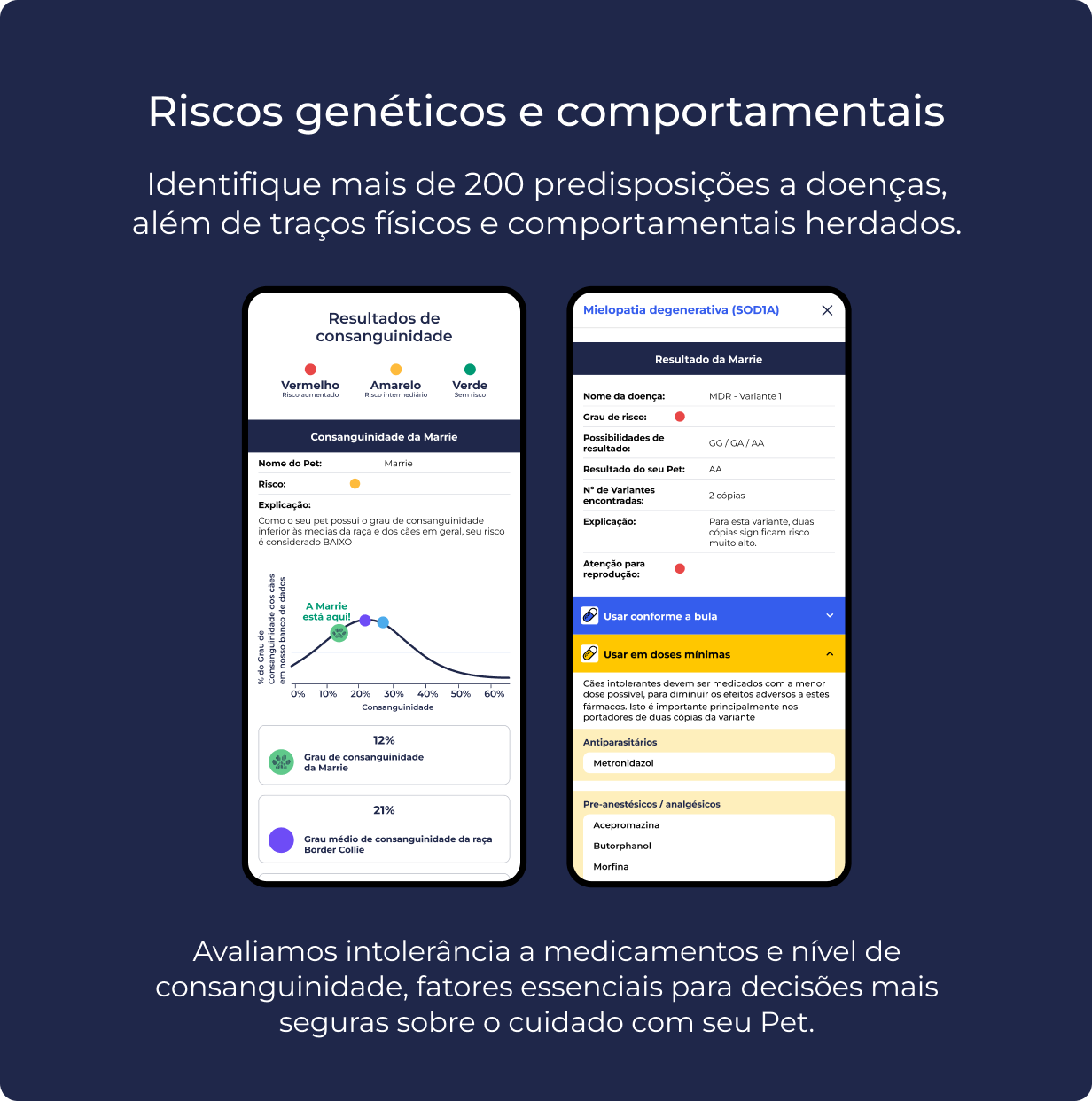 Produto Premium